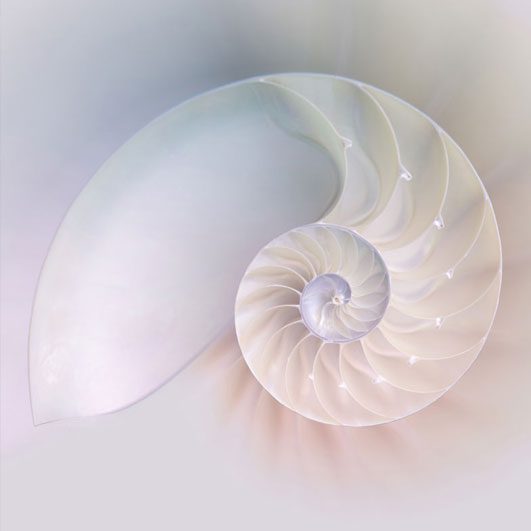 Elisa-Shine-Professional-Life-Between-Lives-Services A elite feel image